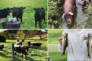 E16448 Sunrise Ln, Hillsboro, WI 54634 - Photo 48