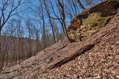 E16448 Sunrise Lane, Hillsboro, WI 54634 - Photo 44