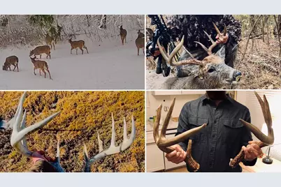 E16448 Sunrise Lane, Hillsboro, WI 54634 - Photo 46