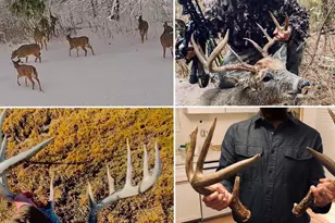 E16448 Sunrise Ln, Hillsboro, WI 54634 - Photo 46