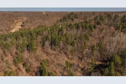 E16448 Sunrise Lane, Hillsboro, WI 54634 - Photo 42