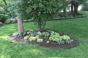 889 19th Dr, Arkdale, WI 54613 - Photo 62