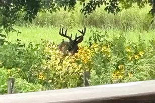 N6241 County Rd W, Portage, WI 53901 - Photo 58