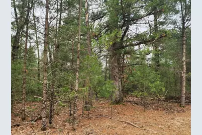 Dyke Avenue, Adams, WI 53910 - Photo 6