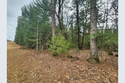 Dyke Avenue, Adams, WI 53910 - Photo 12