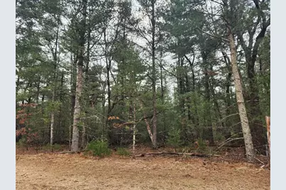 Dyke Avenue, Adams, WI 53910 - Photo 2