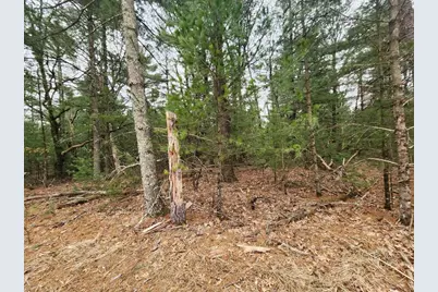 Dyke Avenue, Adams, WI 53910 - Photo 18