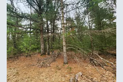 Dyke Avenue, Adams, WI 53910 - Photo 16