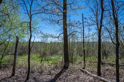 6.51 Ac County Road C, Montello, WI 53949 - Photo 16