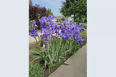 440 Grandview Drive, Waunakee, WI 53597 - Photo 74