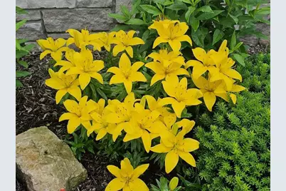 440 Grandview Drive, Waunakee, WI 53597 - Photo 12