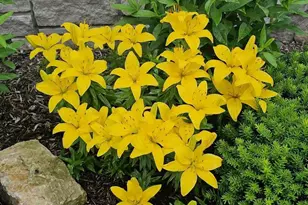 440 Grandview Dr, Waunakee, WI 53597 - Photo 12