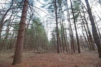 33564 Fulton Street, Lone Rock, WI 53556 - Photo 4