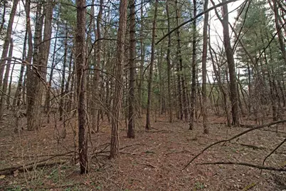 33564 Fulton Street, Lone Rock, WI 53556 - Photo 6