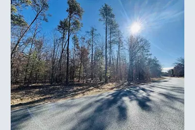 3059 10th Court, Springville, WI 53936 - Photo 6