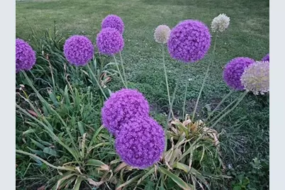 1825 S Highway 104, Brodhead, WI 53520 - Photo 78