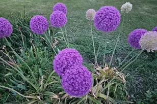 1825 S Hwy 104, Brodhead, WI 53520 - Photo 78