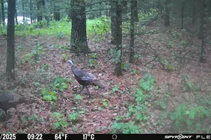 1004 Gem Ct, Dell Prairie, WI 53965 - Photo 46