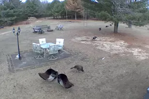 3179 11th Ave, Grand Marsh, WI 53936 - Photo 22