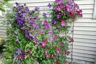 3215 Conservancy Estates Ln, Sun Prairie, WI 53590 - Photo 66