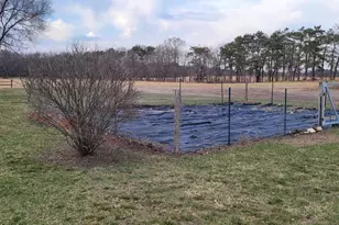 416 Herman St, Arena, WI 53503 - Photo 22