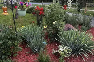 416 Herman St, Arena, WI 53503 - Photo 44