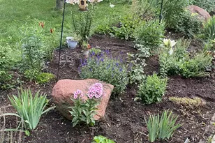 416 Herman St, Arena, WI 53503 - Photo 28