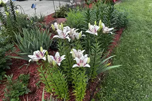 416 Herman St, Arena, WI 53503 - Photo 46