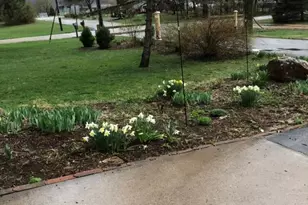 416 Herman St, Arena, WI 53503 - Photo 30