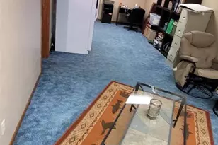 416 Herman St, Arena, WI 53503 - Photo 16