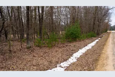 Lot 1 14 Ac Dover Drive, Adams, WI 53910 - Photo 4