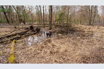 Lot 1 14 Ac Dover Drive, Adams, WI 53910 - Photo 24