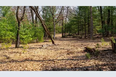 Lot 2 +/-43 Ac Dover Drive, Adams, WI 53910 - Photo 20