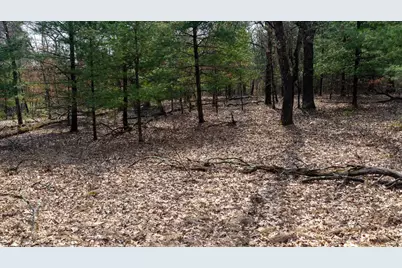 Lot 2 +/-43 Ac Dover Drive, Adams, WI 53910 - Photo 22