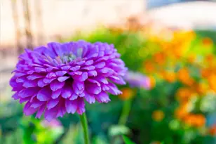 1806 Sachtjen St, Madison, WI 53704 - Photo 30