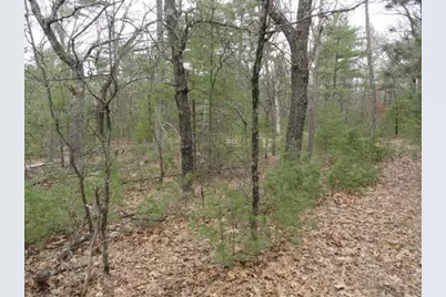 1728 19th Ct, Arkdale, WI 54613 - Photo 20