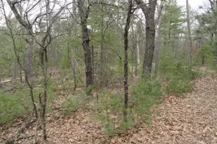 1728 19th Ct, Arkdale, WI 54613 - Photo 20