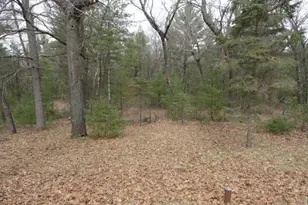 1728 19th Ct, Arkdale, WI 54613 - Photo 18