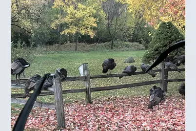 W8347 Thompson Road, Poynette, WI 53955 - Photo 60