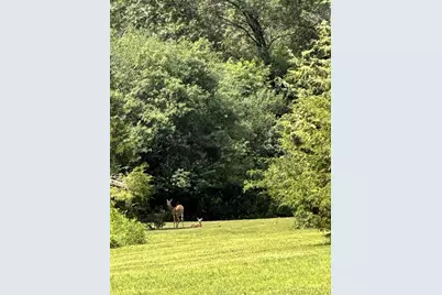 W8347 Thompson Road, Poynette, WI 53955 - Photo 64