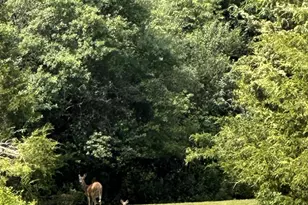 W8347 Thompson Rd, Poynette, WI 53955 - Photo 64