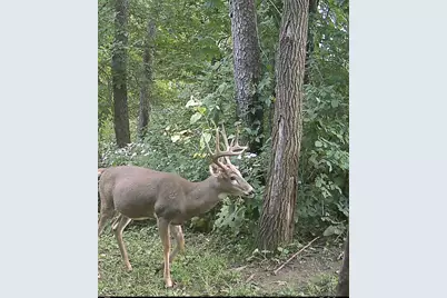 S7304 Sandusky Road, Hillpoint, WI 53937 - Photo 80