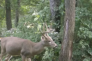 S7304 Sandusky Rd, Hillpoint, WI 53937 - Photo 80