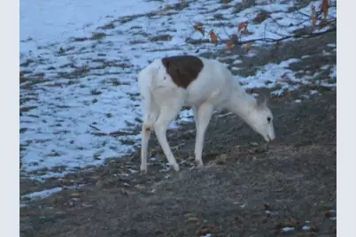 S7304 Sandusky Road, Hillpoint, WI 53937 - Photo 6