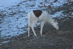 S7304 Sandusky Rd, Hillpoint, WI 53937 - Photo 6