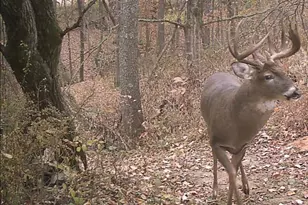 S7304 Sandusky Rd, Hillpoint, WI 53937 - Photo 82