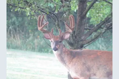 S7304 Sandusky Road, Hillpoint, WI 53937 - Photo 88