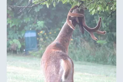 S7304 Sandusky Road, Hillpoint, WI 53937 - Photo 90