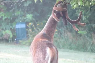 S7304 Sandusky Rd, Hillpoint, WI 53937 - Photo 90