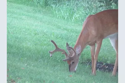 20A Sandusky Road, Hillpoint, WI 53937 - Photo 12